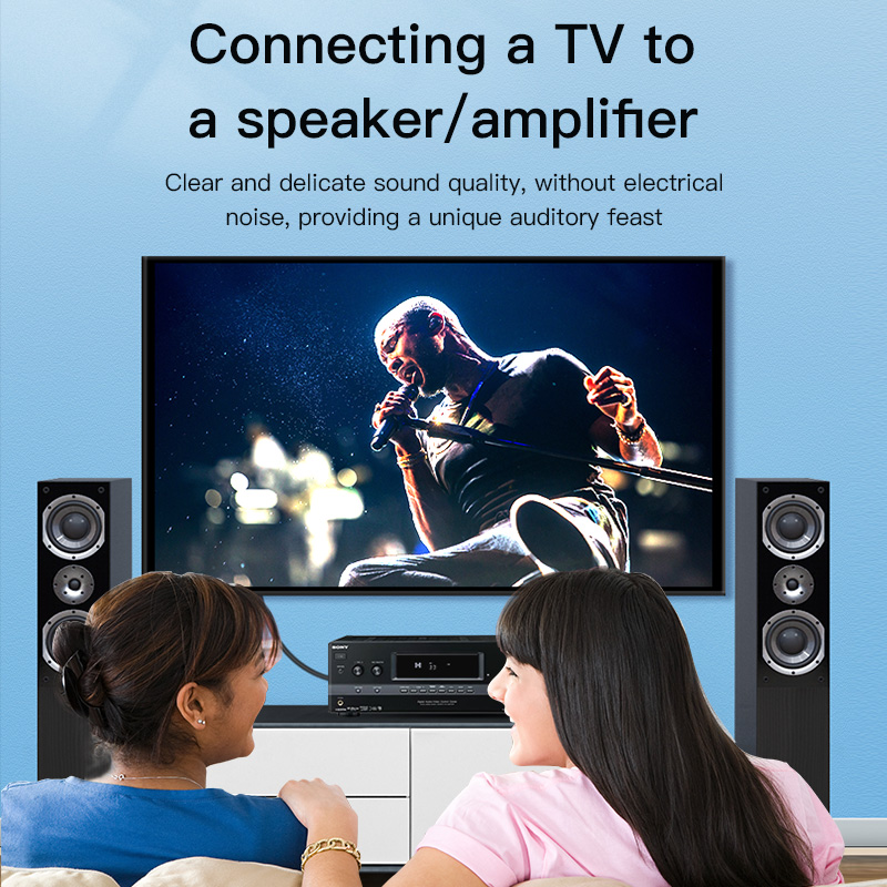 Câble RCA CHOSEAL, câble audio - Home Cinema Subwoofer avis et prix